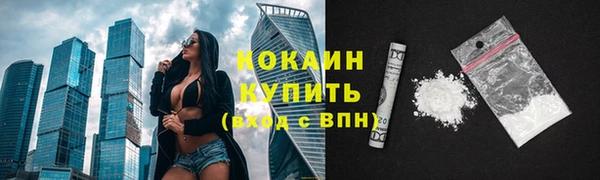 прущий лед Новозыбков