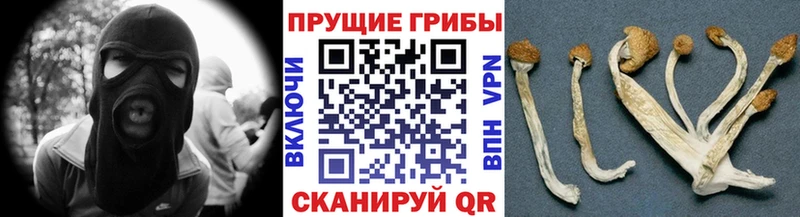 где купить   Старая Русса  Галлюциногенные грибы ЛСД 